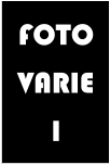 FOTO VARIE 1