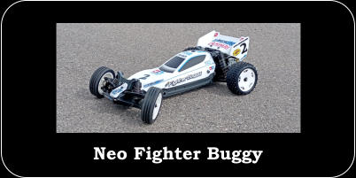 Neo Fighter Buggy
